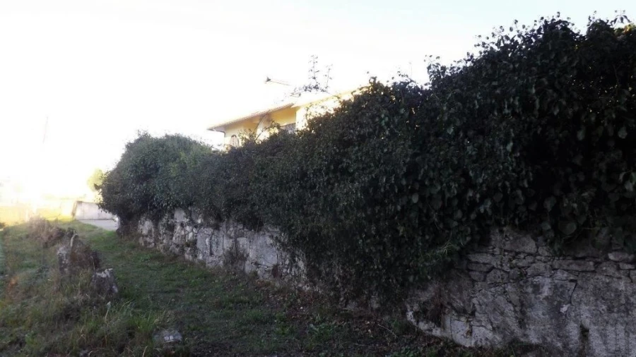 Terreno para Venda em Vila Praia de Ancora Foto 5