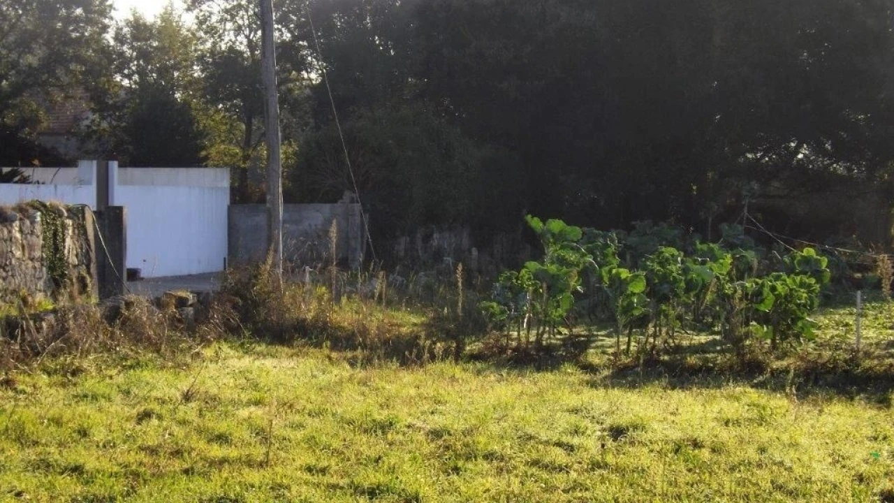 Terreno para Venda em Vila Praia de Ancora Foto 7