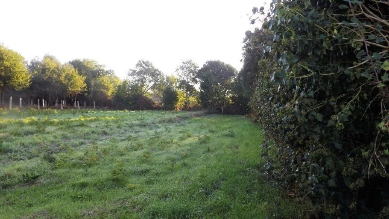 Terreno para Venda em Vila Praia de Ancora Foto 8