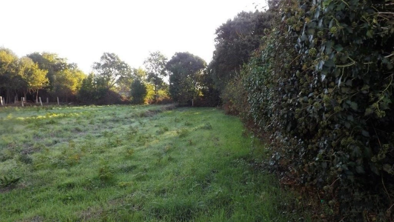 Terreno para Venda em Vila Praia de Ancora Foto 3