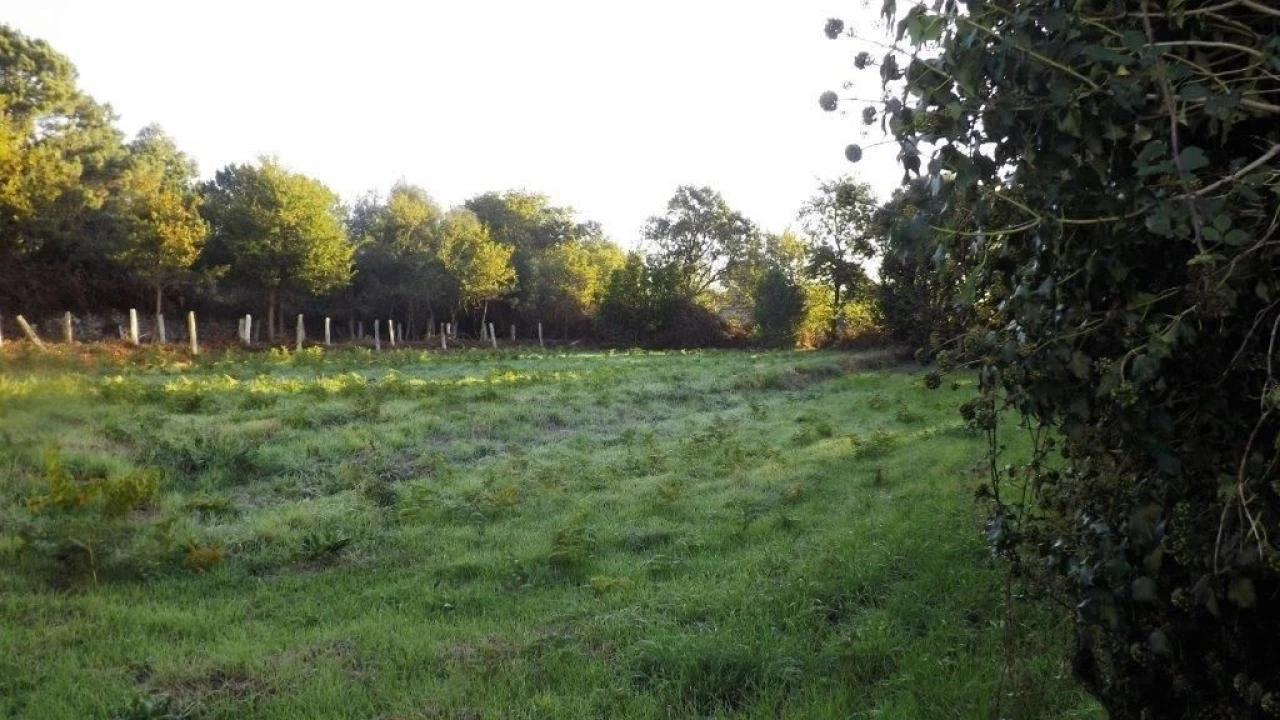 Terreno para Venda em Vila Praia de Ancora Foto 2