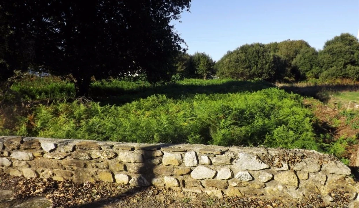Terreno para Venda em Seixas Foto 2