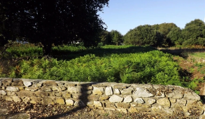 Terreno para Venda em Seixas Foto 2