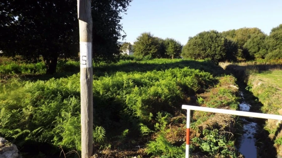 Terreno para Venda em Seixas Foto 6