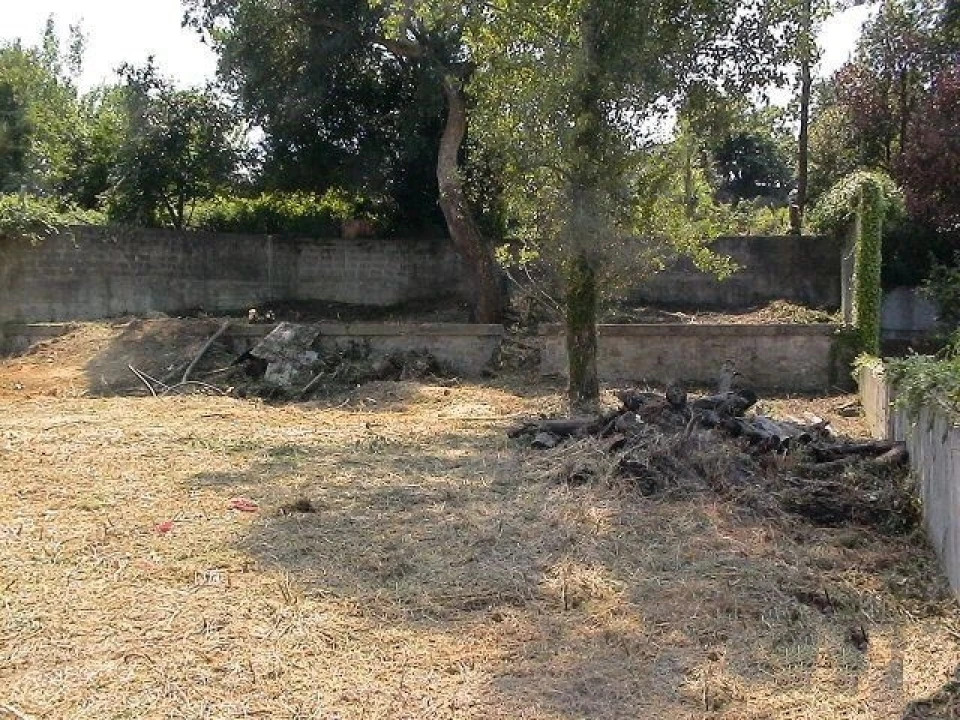 Terreno para Venda em Campanhã Foto 8