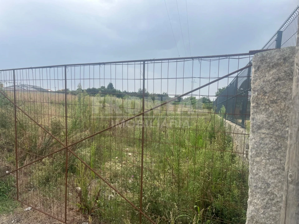 Terreno Agricola ou Rústico para Arrendamento em Nogueira e Silva Escura Foto 8