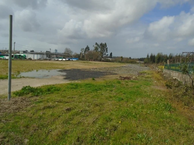 Terreno Agricola ou Rústico para Arrendamento em Nogueira e Silva Escura Foto 4