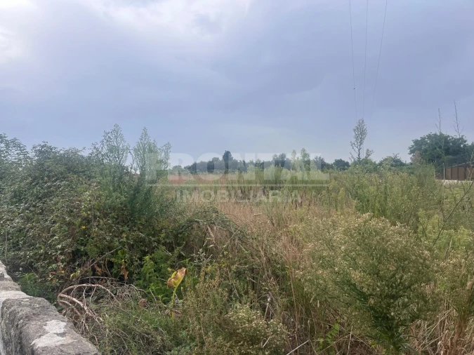 Terreno Agricola ou Rústico para Arrendamento em Nogueira e Silva Escura Foto 10