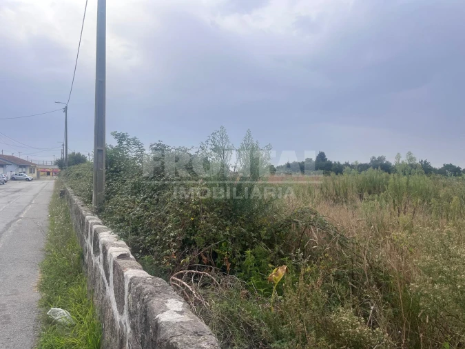 Terreno Agricola ou Rústico para Arrendamento em Nogueira e Silva Escura Foto 11