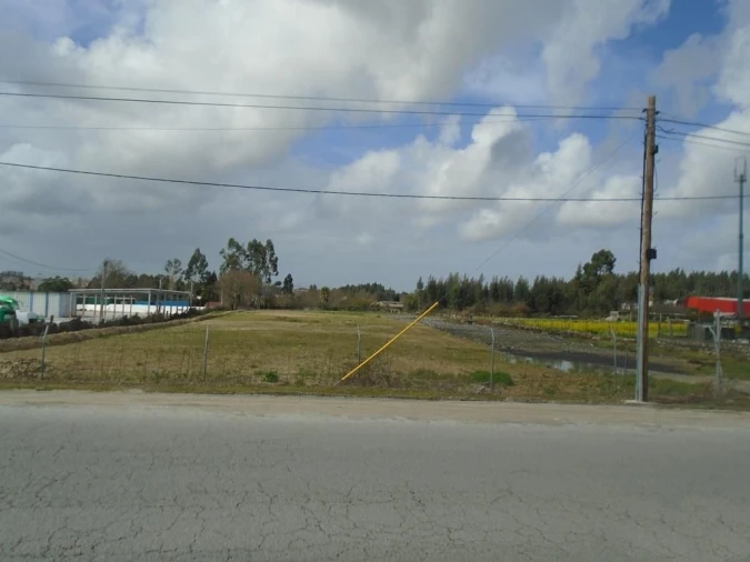 Terreno Agricola ou Rústico para Arrendamento em Nogueira e Silva Escura