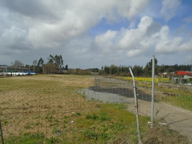 Terreno Agricola ou Rústico para Arrendamento em Nogueira e Silva Escura Foto 5