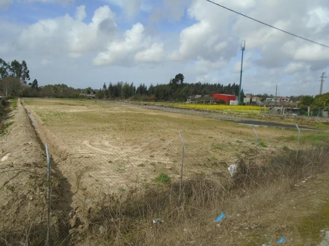 Terreno Agricola ou Rústico para Arrendamento em Nogueira e Silva Escura Foto 3