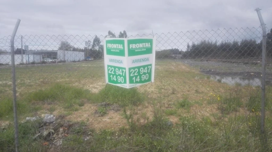 Terreno Agricola ou Rústico para Arrendamento em Nogueira e Silva Escura Foto 6