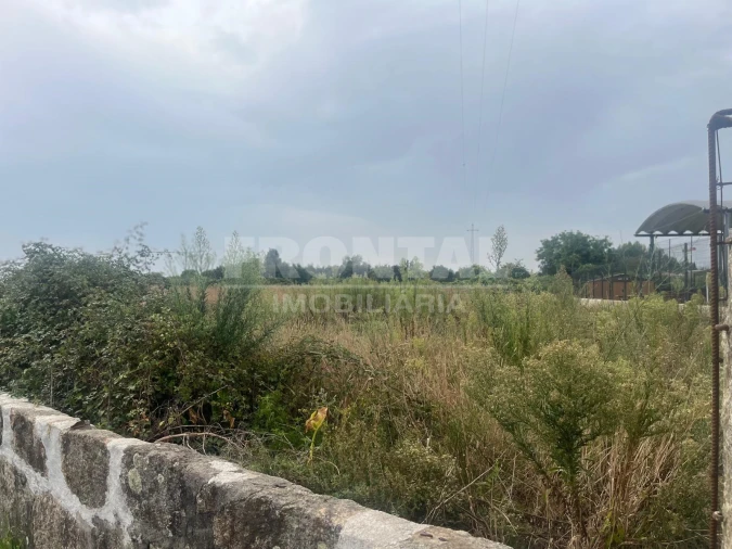 Terreno Agricola ou Rústico para Arrendamento em Nogueira e Silva Escura Foto 9