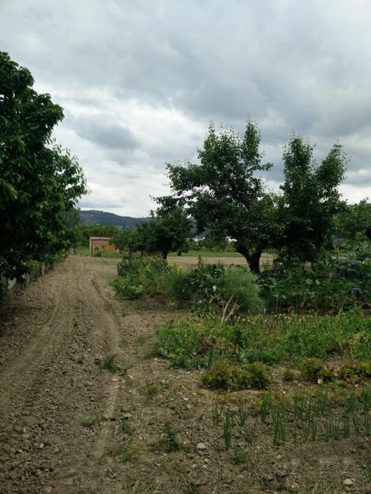 Quinta T0 para Venda em Madalena e Samaiões Foto 24