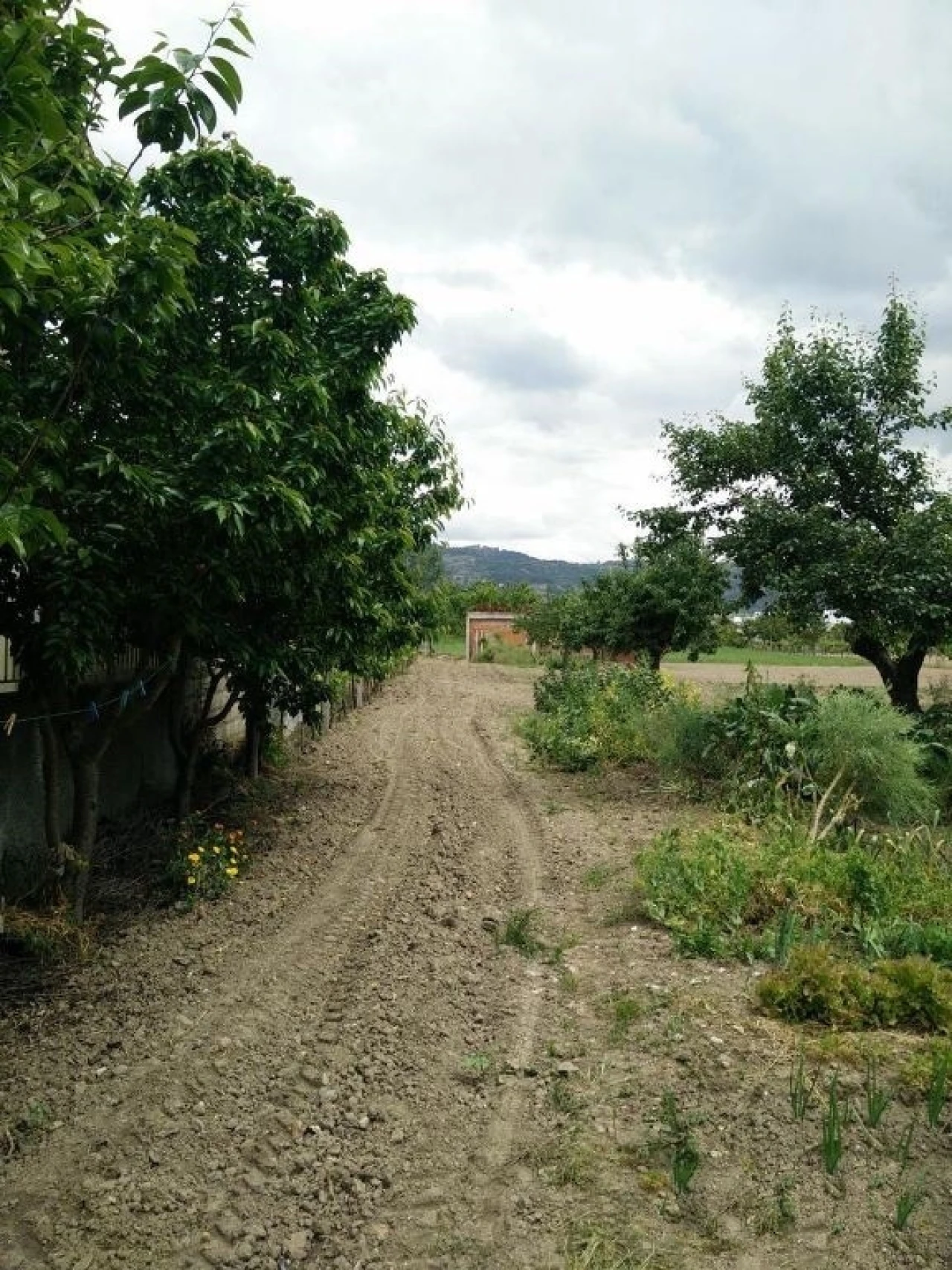 Quinta T0 para Venda em Madalena e Samaiões Foto 23