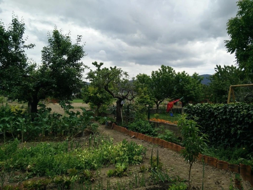 Quinta T0 para Venda em Madalena e Samaiões Foto 21