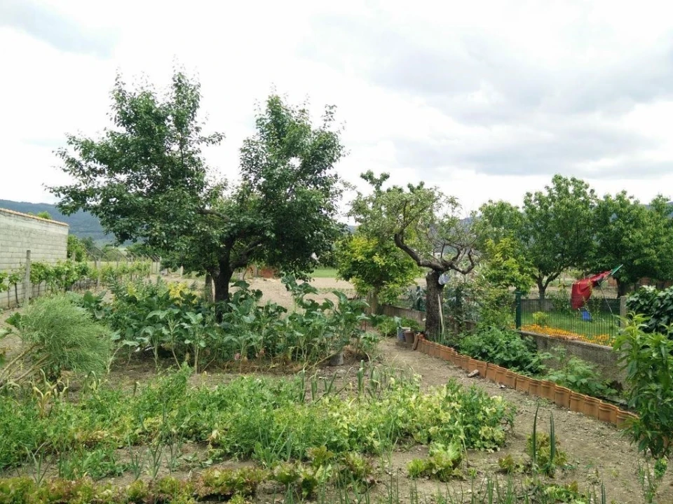 Quinta T0 para Venda em Madalena e Samaiões Foto 20