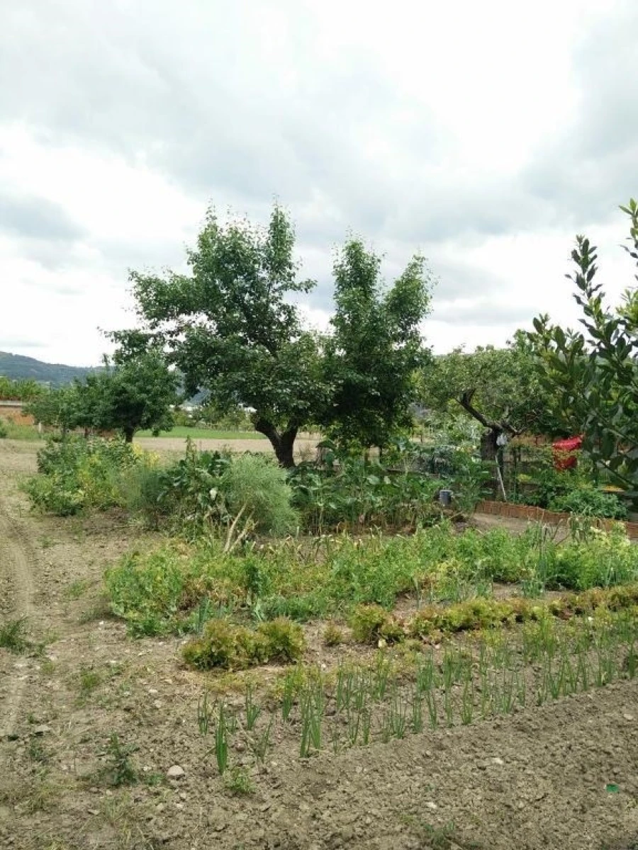 Quinta T0 para Venda em Madalena e Samaiões Foto 25