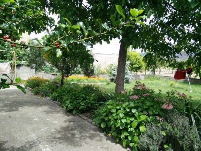 Quinta T0 para Venda em Madalena e Samaiões Foto 8