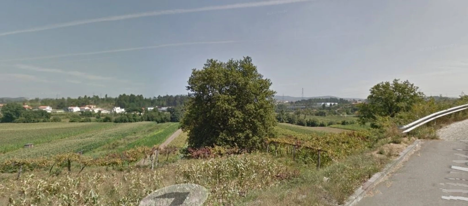 Terreno para Venda em Campo e Sobrado Foto 1