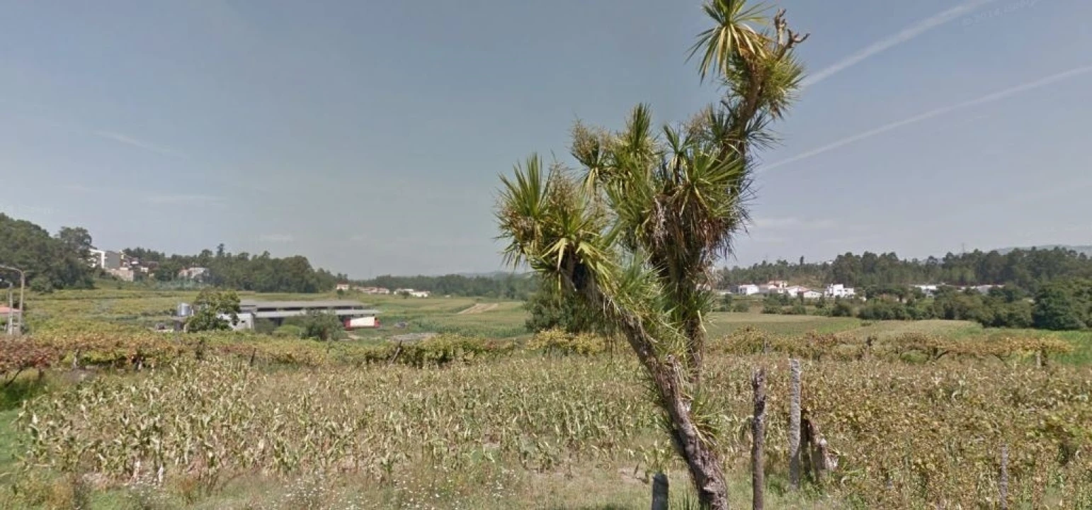 Terreno para Venda em Campo e Sobrado Foto 2