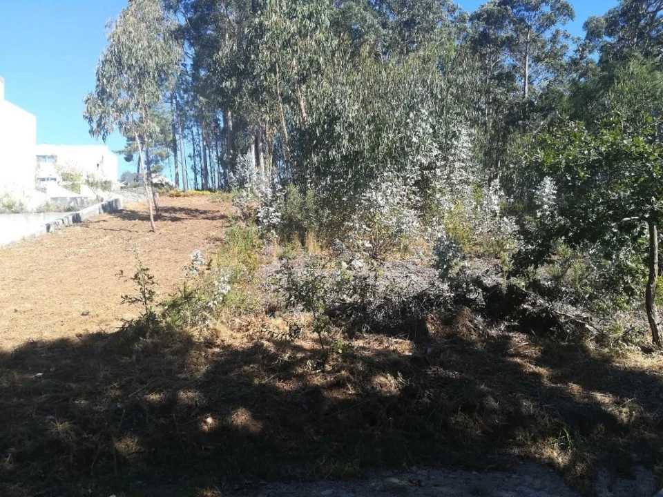 Terreno para Venda em Seixas Foto 5