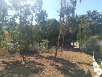 Terreno para Venda em Seixas