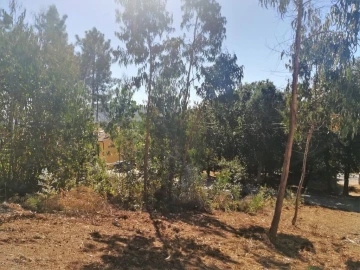 Terreno para Venda em Seixas