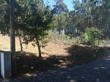 Terreno para Venda em Seixas