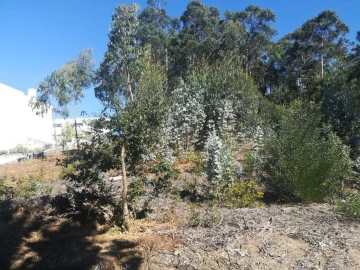 Terreno para Venda em Seixas