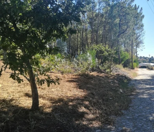Terreno para Venda em Seixas Foto 2