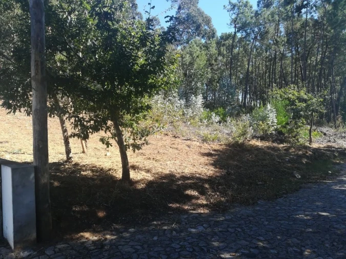 Terreno para Venda em Seixas Foto 3
