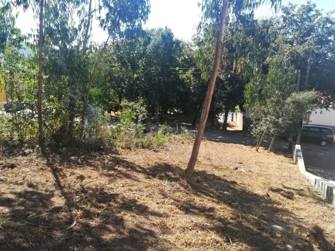 Terreno para Venda em Seixas Foto 6