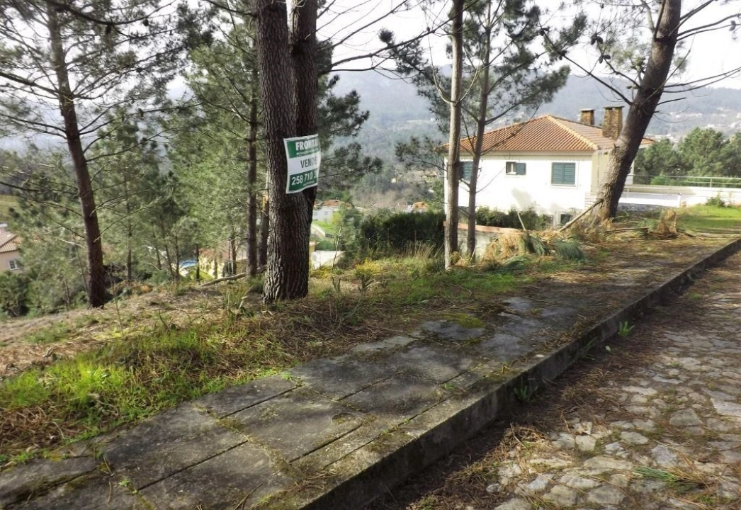 Terreno para Venda em Venade e Azevedo Foto 4