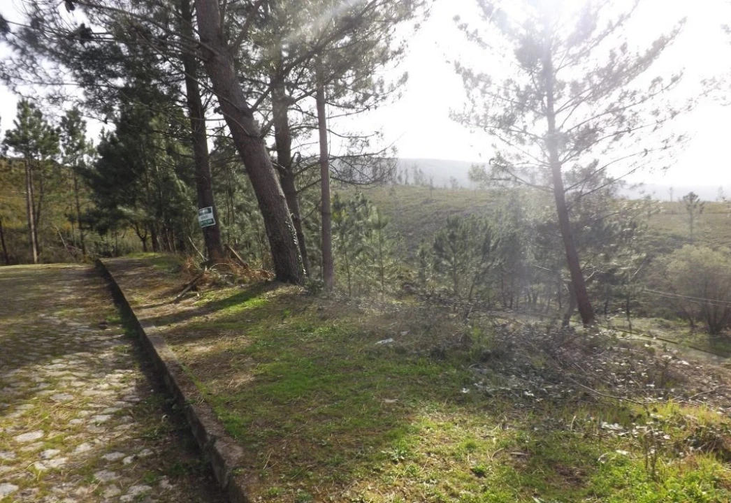 Terreno para Venda em Venade e Azevedo Foto 6
