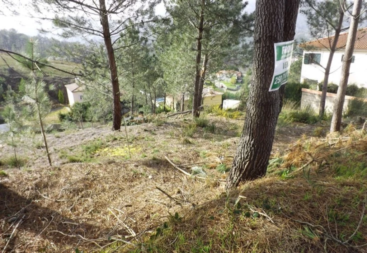 Terreno para Venda em Venade e Azevedo