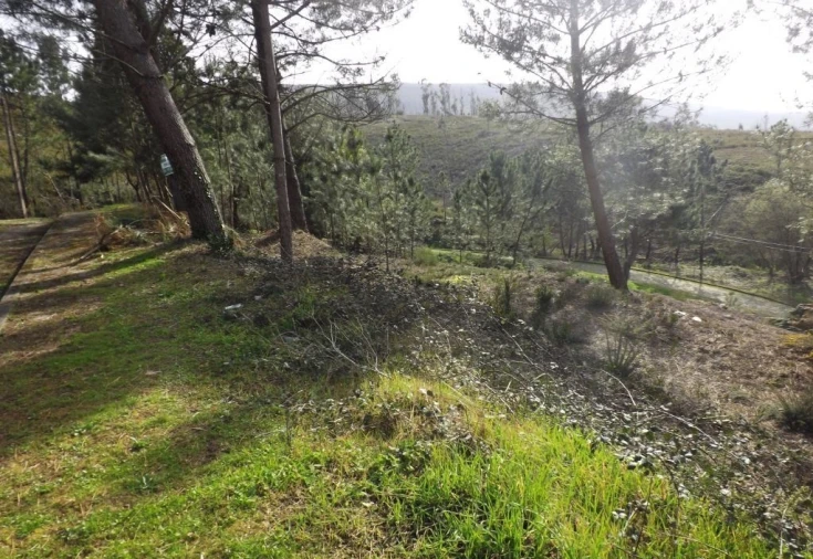 Terreno para Venda em Venade e Azevedo Foto 5