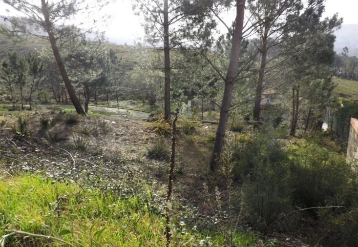Terreno para Venda em Venade e Azevedo Foto 7