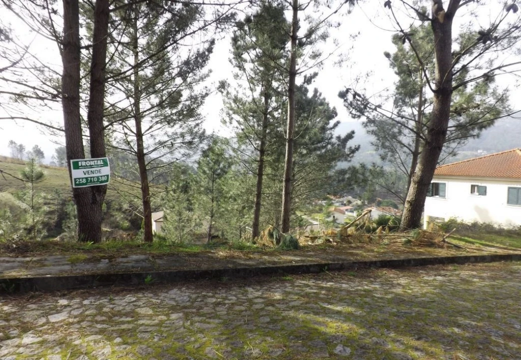 Terreno para Venda em Venade e Azevedo Foto 3