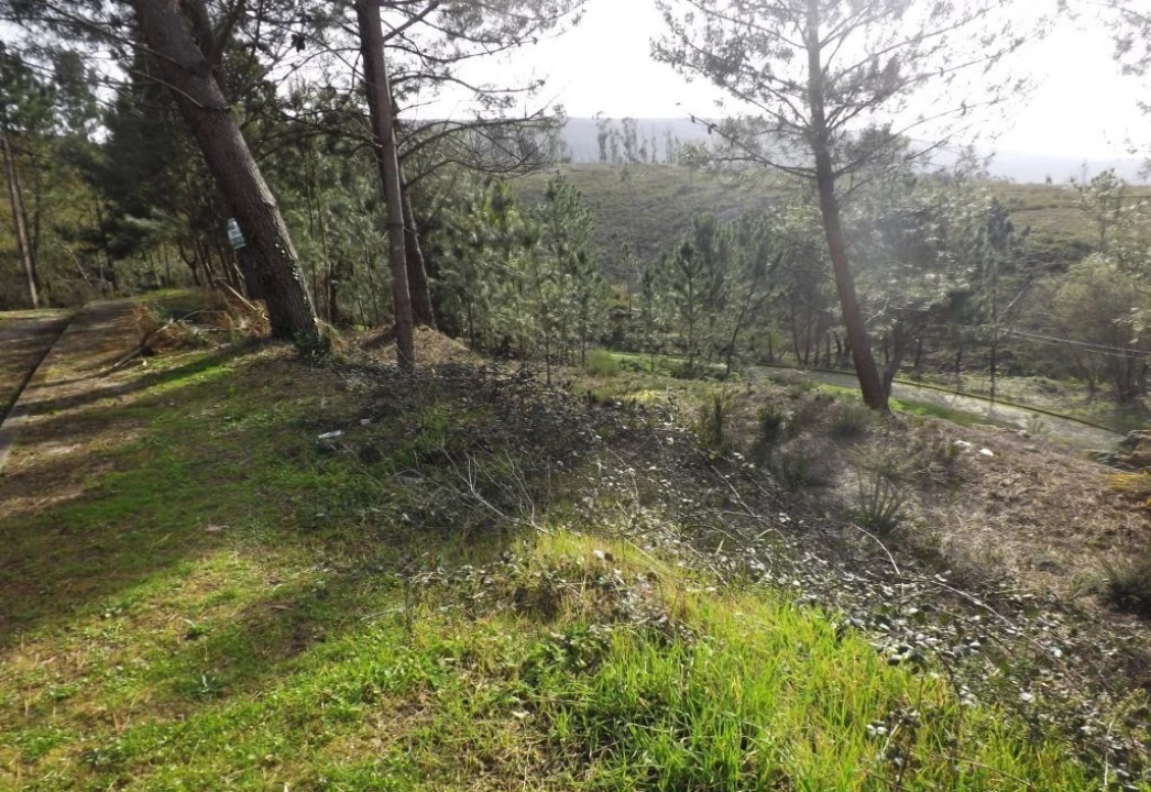 Terreno para Venda em Venade e Azevedo Foto 5