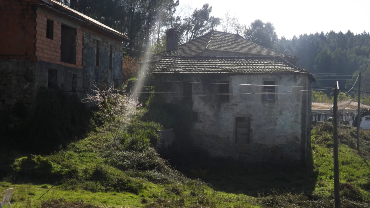 Quinta T0 para Venda em Covas Foto 5