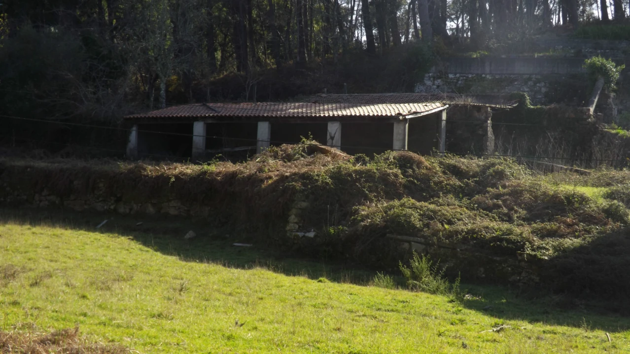 Quinta T0 para Venda em Covas Foto 8