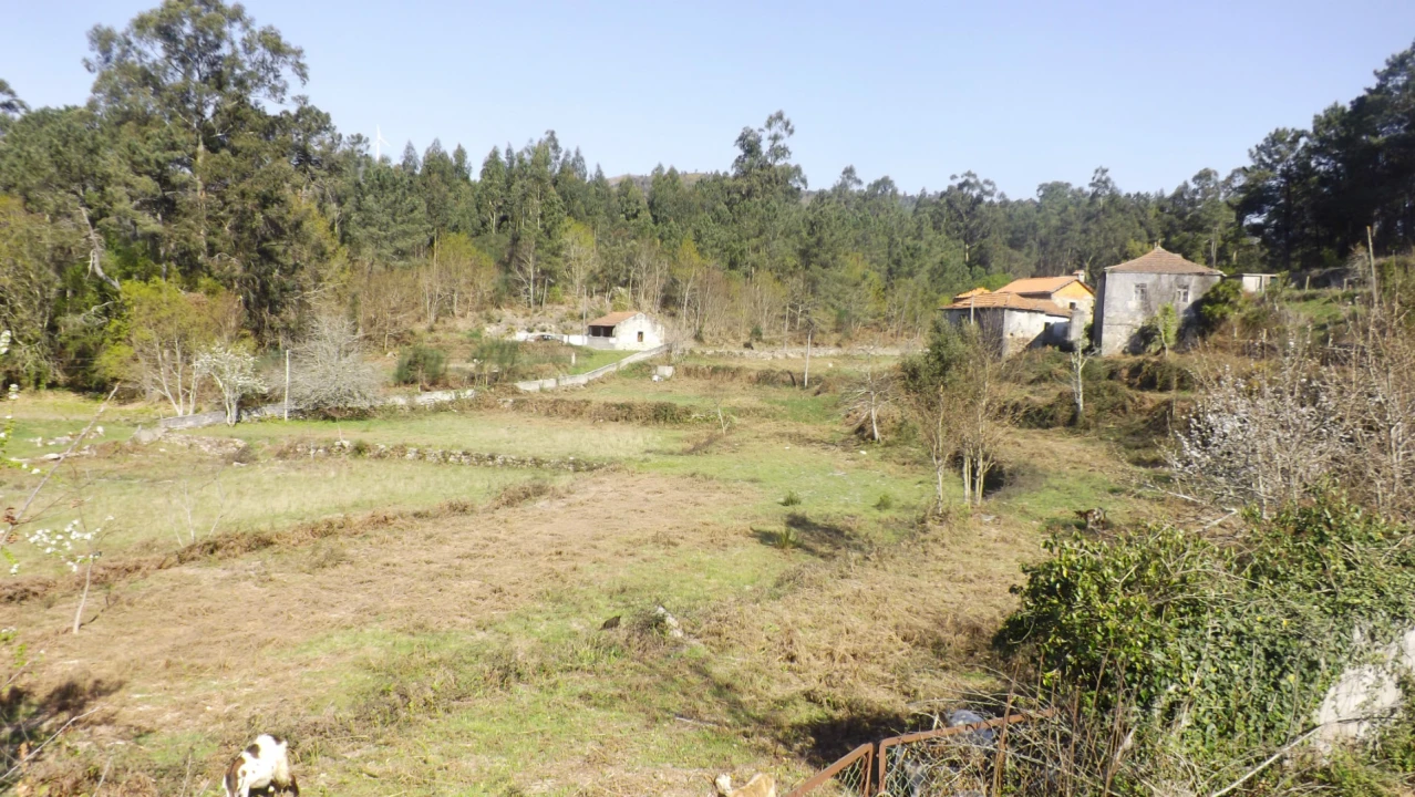 Quinta T0 para Venda em Covas Foto 3