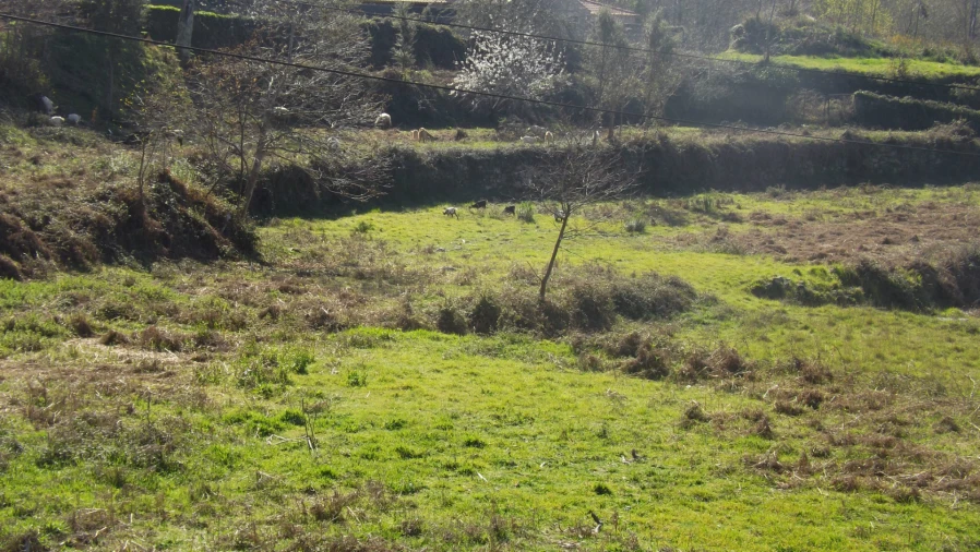 Quinta T0 para Venda em Covas Foto 6