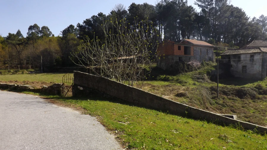 Quinta T0 para Venda em Covas Foto 2