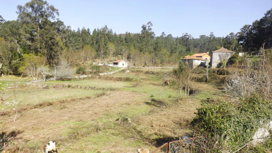 Quinta T0 para Venda em Covas Foto 3