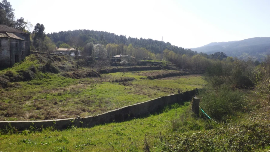 Quinta T0 para Venda em Covas Foto 15