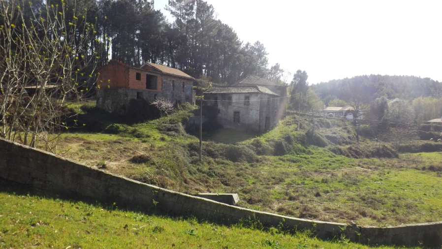 Quinta T0 para Venda em Covas Foto 1