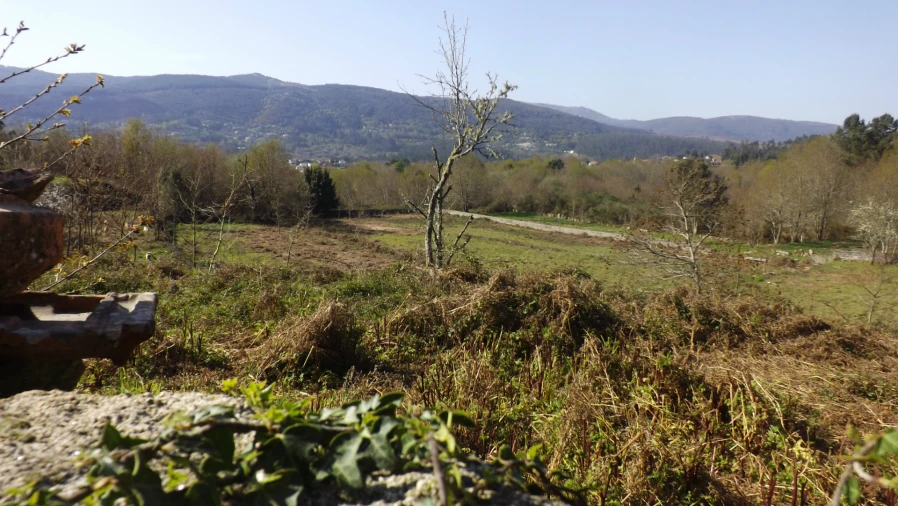 Quinta T0 para Venda em Covas Foto 13